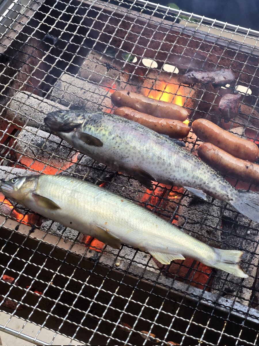 13fbcop07's tweet photo. たまに雨に打たれながらのBBQ🍖
何より友達のつてで西酒造の今年3月に新発売された百年櫻と、愛山の天賦、ノーマル天賦が並んだのが熱すぎた… https://t.co/waVvnbtJwp