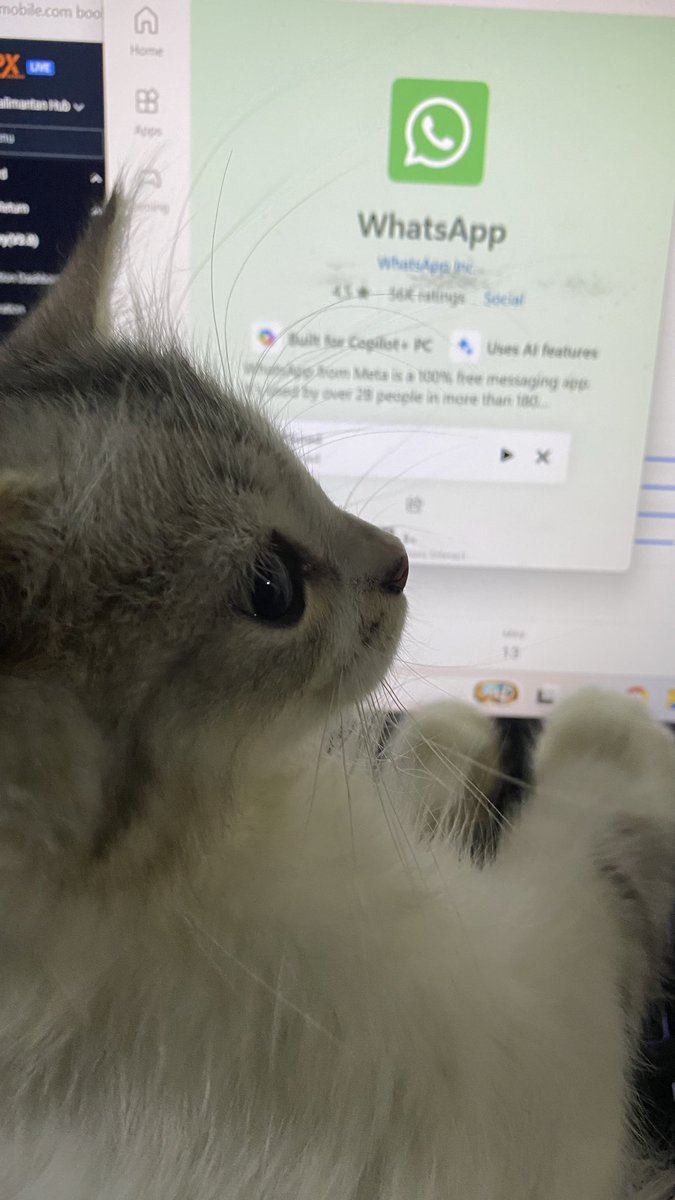 wytrk's tweet photo. masih aktif-aktif nyaaa https://t.co/Ysko2dcCkz