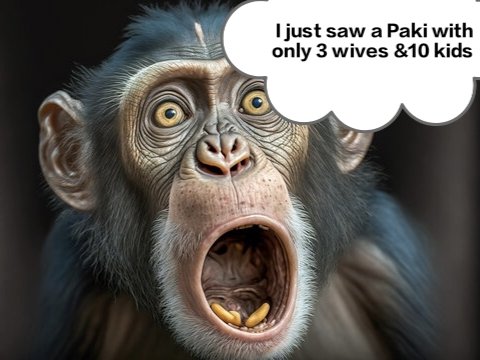 MoSlayer2024's tweet photo. @MasterMaliq Islamist https://t.co/FohkRTYNRI
