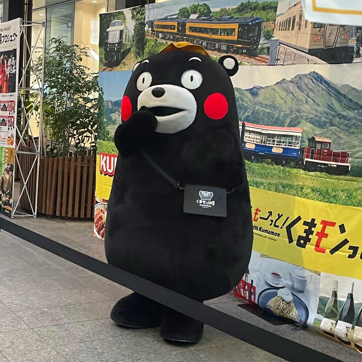 amiami63's tweet photo. 熊本ﾃﾞｽﾃｨﾈｰｼｮﾝｷｬﾝﾍﾟｰﾝ2026
PR登場の #くまモン✨✨
①赤いバンダナ🔺
②ハット＋四次元サコッシュ
和水町産ヒノヒカリ🌾ありがとうございます🎯ｶﾞﾗﾎﾟﾝ https://t.co/r0NFuyIalp