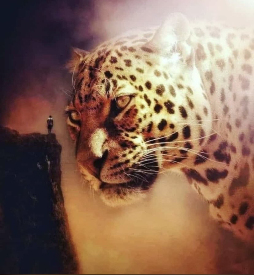 RicardoFreireG's tweet photo. Una última pregunta, ¿Qué hubiera pasado con el sueño de Bolívar si no mataban a Sucre? 

Y por cierto, los hijos del Gran Jaguar aún siguen esperando, su momento llegará. https://t.co/Oh2GHR8ICu