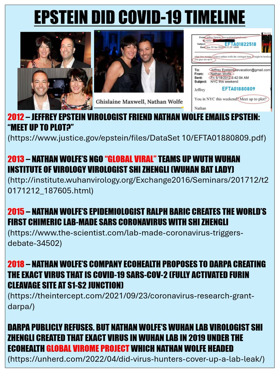 RealTheForce's tweet photo. @ImBreckWorsham Me: Epstein did COVID-19 via his virologist friend Nathan Wolfe and you're all distracting from that fact by talking about Fauci, the obvious front man https://t.co/vCrg5CaKvo