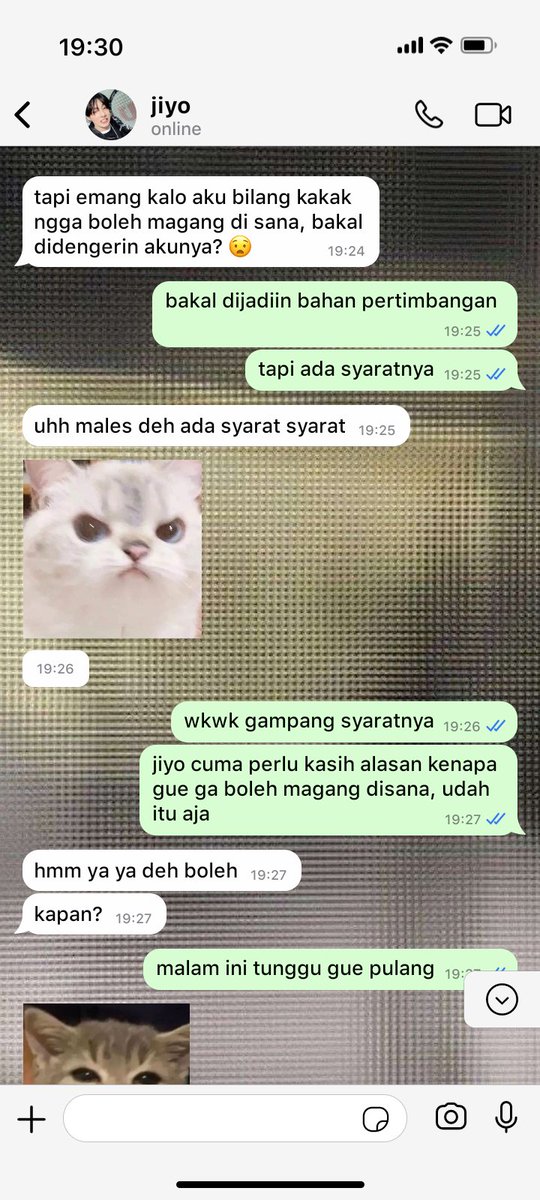 raelenashopes's tweet photo. REUPLOAD

🏠 274 — ada syaratnya 😱😱 https://t.co/Pj3bIprF3W