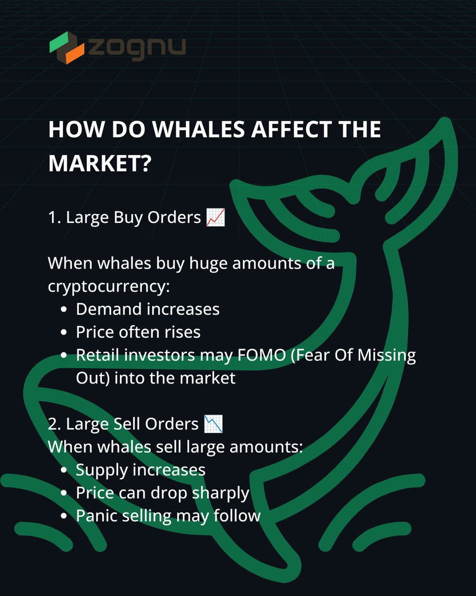 ZognuExchange's tweet photo. 🐋 Crypto whales are investors or institutions holding massive amounts of cryptocurrency. Their large buy and sell orders can move prices, trigger volatility, and influence market sentiment. In crypto, watching the whales can sometimes provide clues about where the market may be heading next. hashtag#Bitcoin hashtag#Crypto hashtag#Whales hashtag#Trading hashtag#Blockchain hashtag#BTC hashtag#CryptoMarket hashtag#ZognuExchnage hashtag#Zognu