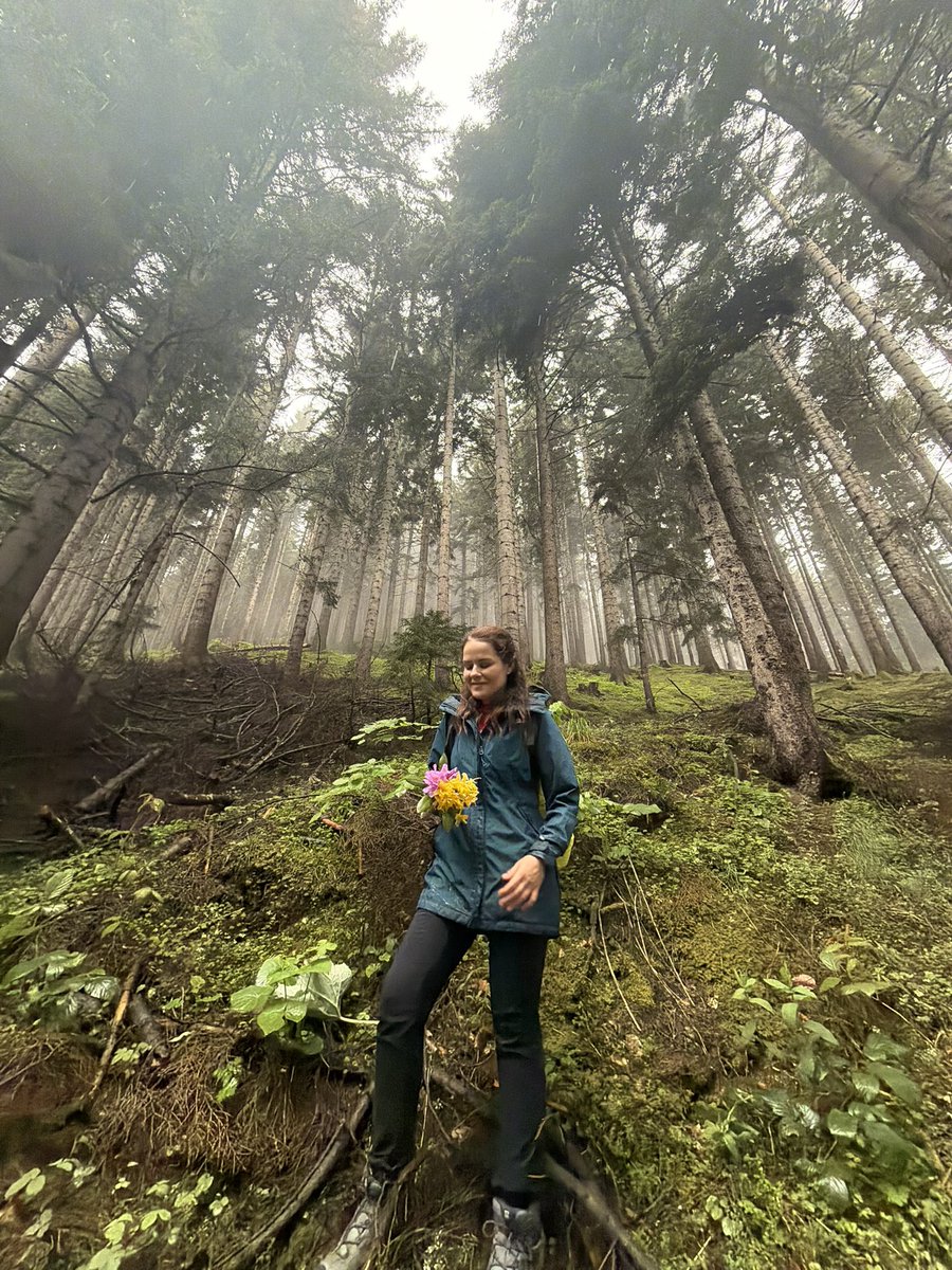 MeryemSurmen's tweet photo. Geçen hafta Zifin ve Komar çiçeklerinin güzellikleriyle bezenmiş dağların keyfini sürdük. 

Bugün bir baktım ki çiçekler CHP’li olmuş.😅

Başkanım, ‘Çiçekleri size getireceğiz.’ diye açıklamalar yapılmış.

Bence herkes şu anki yerinde güzel.😉 https://t.co/ujodeGVlyC