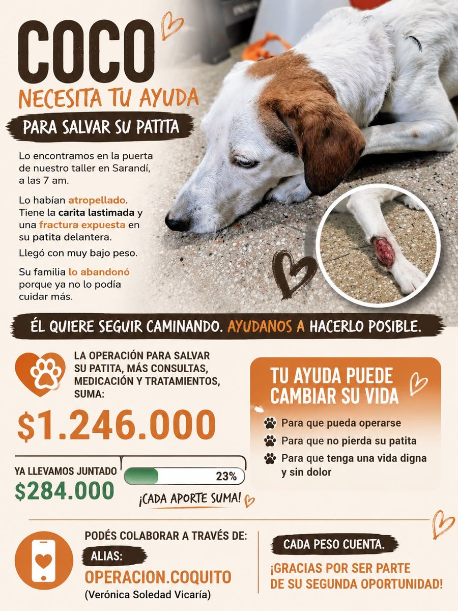tana666__'s tweet photo. Dejo esto x acá, la historia de coco, lo tiraron de un auto xq su familia tuvo un bebé y no les servia más. Lo encontró atropellado la prima de mi amiga y se está haciendo cargo de todo esto sola. Van por la 2da operación.Todo lo q se done sea 100, 200 pesos sirve para ayudarla🙏 https://t.co/RwZKB7A1dn