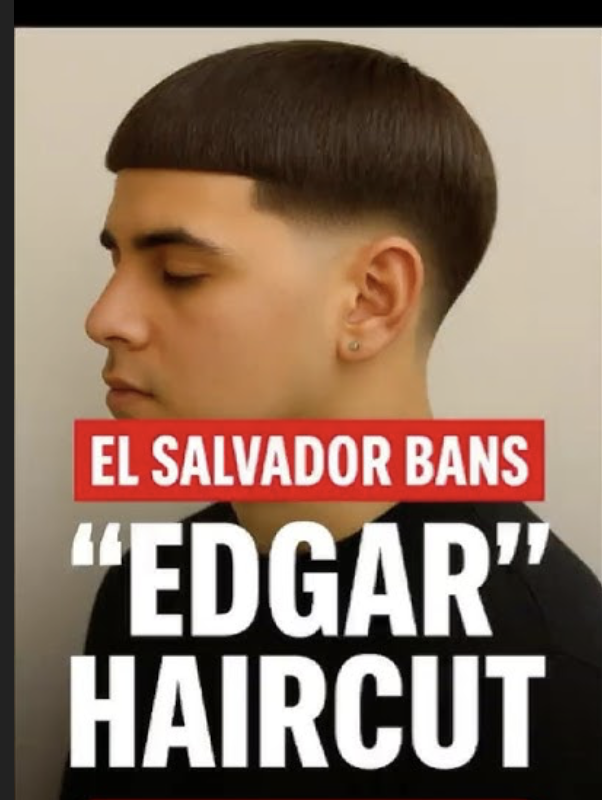 DanielJacobDog's tweet photo. @Andypublicuk Bad news Haircut https://t.co/9l69zDgGjU