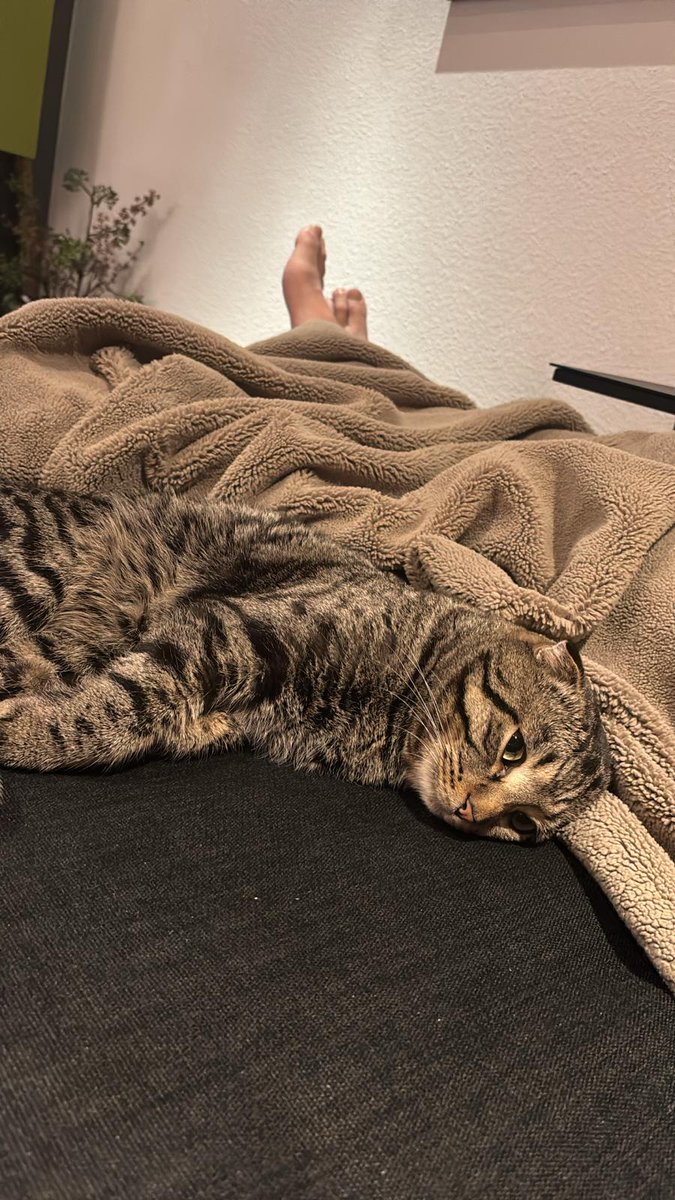 SolcianskaM's tweet photo. Mettetevi comodi, Piedi in alto, musica a tutto volume, mente libera! Un sabato sera perfetto!Vi auguro una serata serena. Che il vostro sabato si concluda in pace e che possiate godervi il fine settimana.🎶🤘✨️💙🥂🤗 https://t.co/yy2u3ZSoAP