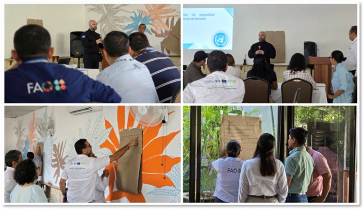 MarcoTeixeiraUN's tweet photo. UNDSS Guatemala delivered a Security for Field Missions Workshop for @FAOGuatemala personnel and partners

Strengthening preparedness, safety, and resilience helps ensure colleagues can continue supporting communities across Guatemala,  in all environments. 🇺🇳🇬🇹
@UNDSS https://t.co/ijkMHkTrql