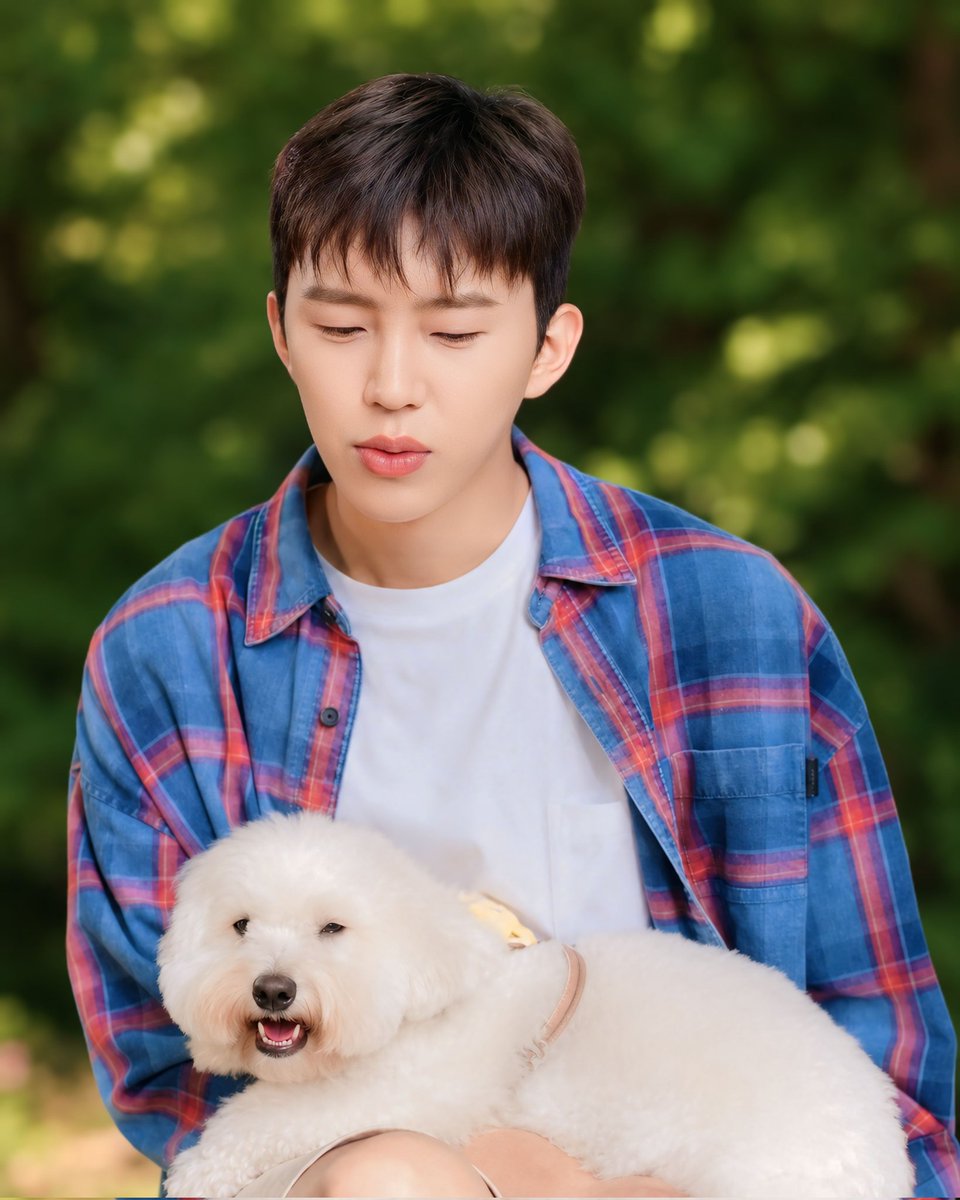 dammi63's tweet photo. 임영웅 다정해 🐶 

#임영웅 #limyoungwoong #임영웅_음원강자 #임영웅팬덤 #임영웅_kpop
출처:임영웅유튜브/편집:영심 https://t.co/l0tvcvGIbQ