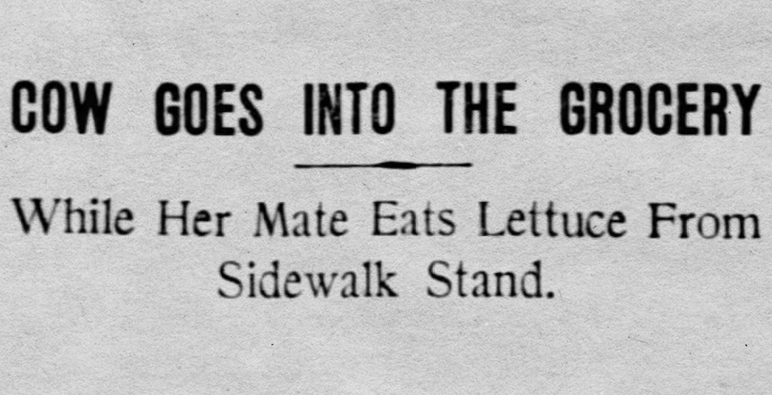 yesterdaysprint's tweet photo. St Louis Post-Dispatch, Missouri, June 20, 1909 https://t.co/6gOyMlk7u6