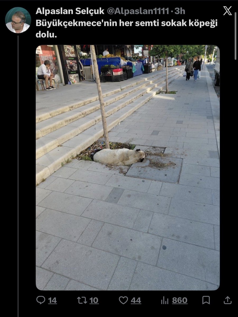 AlliGokce's tweet photo. Sosyal medyadaki trol tipolojisi: bilgisi sığ, özgüveni sınırsız. Kadın/Atatürk/inanç düşmanlığını düşünce sanıyor; cehaletini gürültüyle örtmeye çalışıyor. Az kelime, çok öfke; az akıl, bol önyargı. Kararmış zihinler ve buna ayna diller… #trolistemiyoruz @abakingurlek https://t.co/UJ55mikQFT