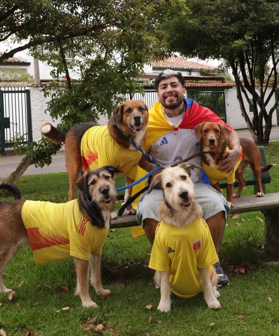 GRojito0's tweet photo. Obvio no somos iguales:

      Yo tan                           y                      tú tan https://t.co/qPysgjdLJA