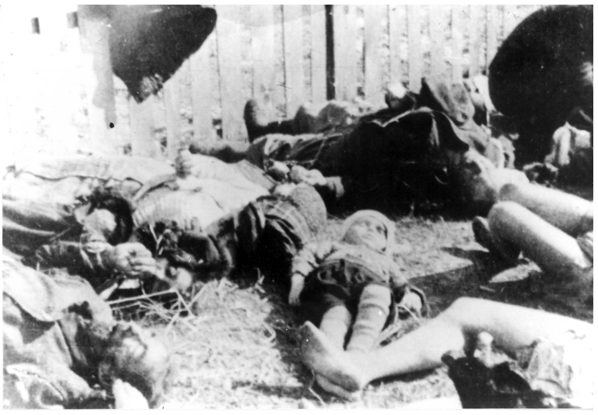 HrabinaM's tweet photo. @DMokryk Look at the crimes of your "heroes", bow your head and be silent, Ukrainian! https://t.co/gnK45uchng