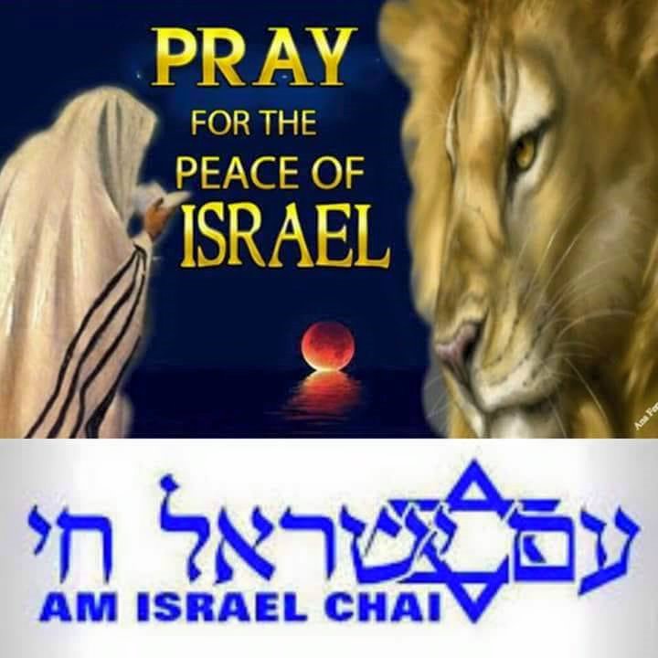 KristiJ1's tweet photo. Am Yisrael Chai ADONAI-the people of Israel live LORD AMEN-AMEIN!!

NOTE: IF YOU DO NOT STAND WITH THE HOLY LAND OF ISRAEL-YISRAEL THEN YOU'RE NOT A CHRISTIAN OR JEWISH!!

REAL CONSERVATIVE JEWISH AND CONSERVATIVE CHRISTIANS NEED TOO STAND WITH THE HOLY LAND OF ISRAEL-YISRAEL ❤️🇮🇱🕎✡️❤️🇺🇸❤️