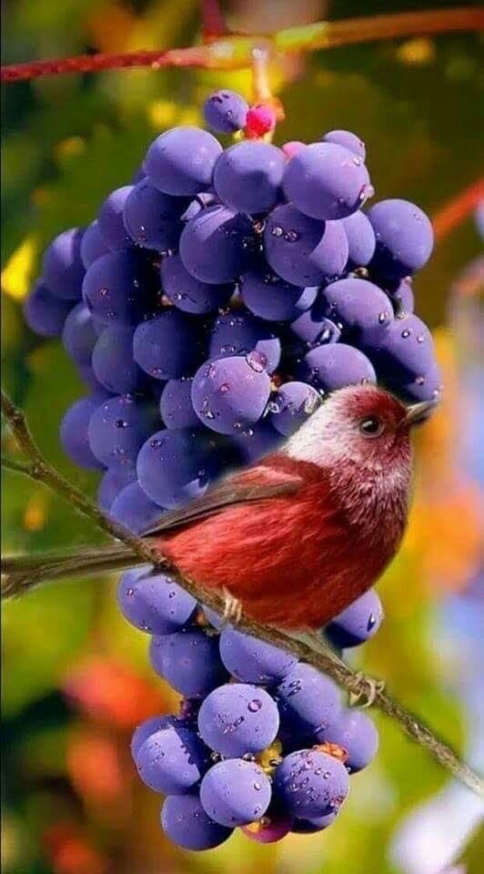 f5566_i's tweet photo. ينام العبد على أمر قد يئس منه..
ويستيقظ على انفراجه

سيجبر الله كسر قلبك ..
ويزيل همومك مهما كانت عظيمة بنظرك.. مساء الخيرات والمسرات💕 https://t.co/Dez3hcz9fF
