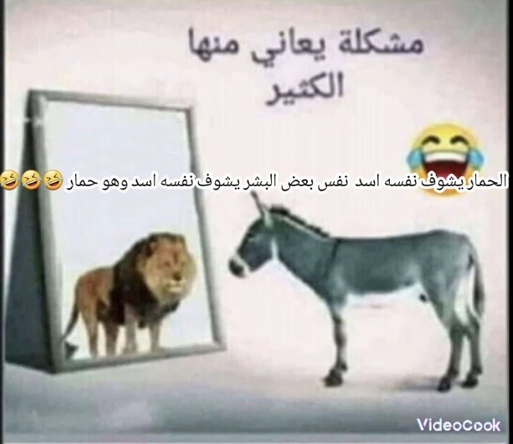 trtr610's tweet photo. @alialqhoom السعودية يتعبكم اسمها لاحاله وهذا حالكم صياح ونياح وشعارات اقول احمدو الله على نعمة السعودية شوفو وضعكم 👇🏻 https://t.co/GU6Vd8PzVY