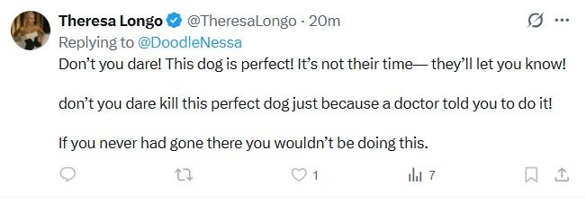 DoodleNessa's tweet photo. Why post this in our grief, then block me? 
The mass was as big as a med sized ball. Nessa had internal bleeding and wasn't responding to treatment The vets were concerned it would burst in the next day or so 
We are so sorry we couldn't save our sweet girl 💔 We love you Nessa🙏 https://t.co/QfFEvpFj3L