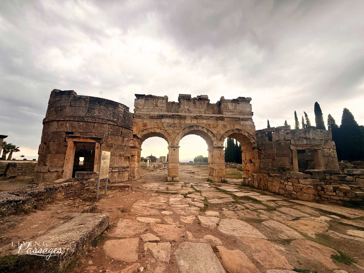 Living Passages tweet media