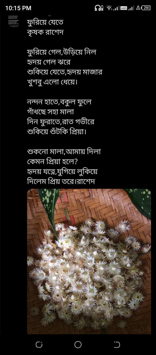 rashedkhan43731's tweet photo. @taslimamoni999 নন্দিনী
কৃষক রাশেদ

নন্দিনী তোর,ফুল বাগিচা
ফুল ফুটিল থরে
কোন স্বর্গের,নন্দিত কানন
গড়লি হৃদয় কুঞ্জে?

আ-হ.. কি দারুণ,হৃদয় করুণ
মন ব্যকুলে কেষ্ট
সুন্দরী তুই, সুদর্শন উল্কা
কোন বাগিচার পুষ্প?

য��র হৃদয় টা,সজন পৃতি
সাজায় হৃদয় মতি
কি জানি তার,নন্দিত হৃদয়
সবার মনে পৃতি।রাশেদ https://t.co/slWJg7d6gx