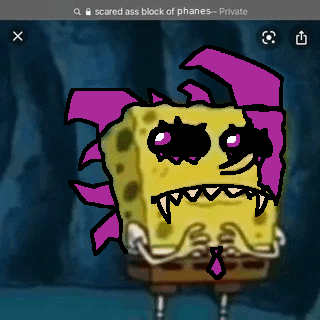 SPONGEPHANES tweet media
