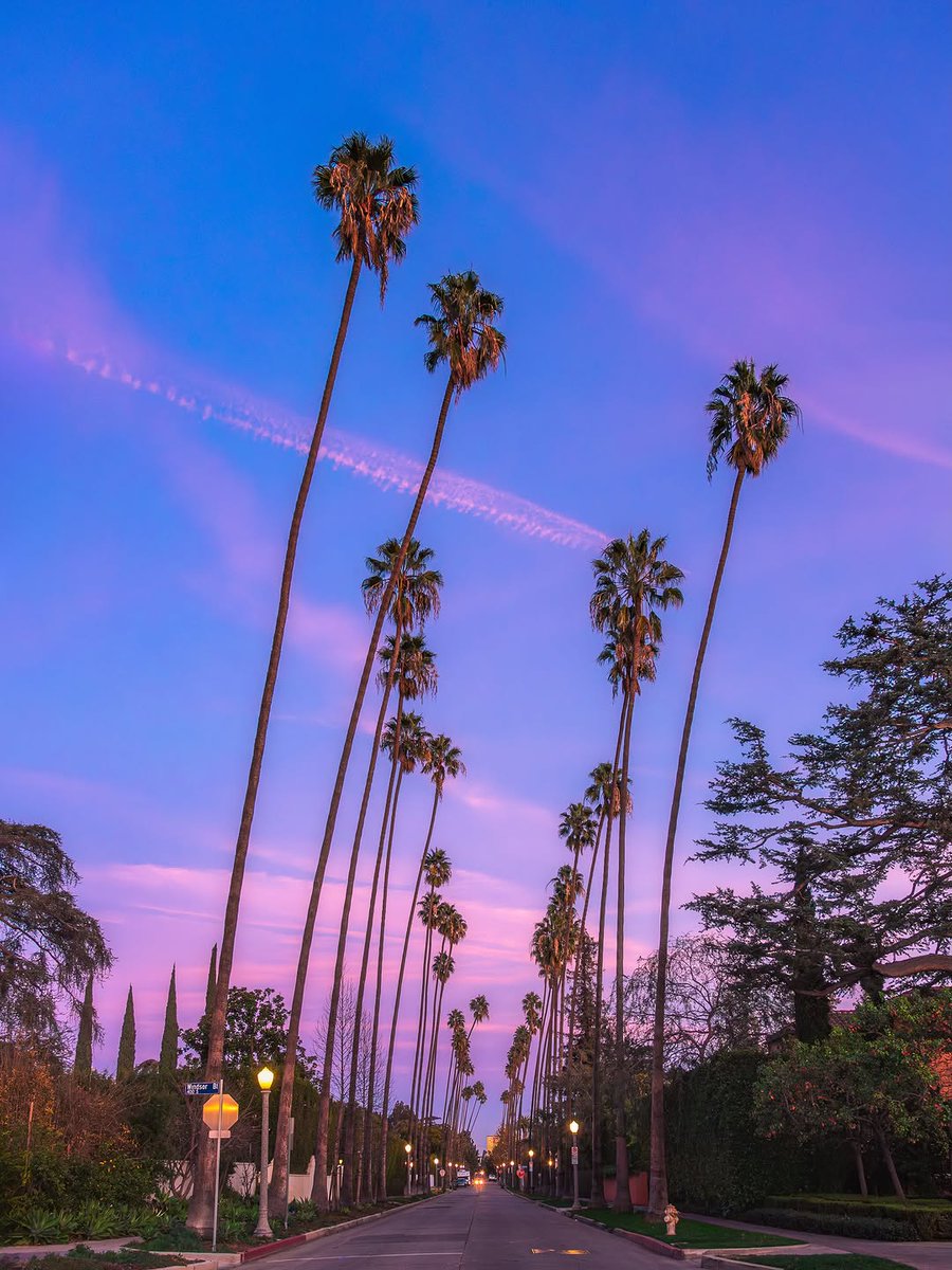 travelandchill1's tweet photo. Los Angeles California 🇺🇸
Palm trees or ocean views—which one wins? https://t.co/VSDgyapCi3