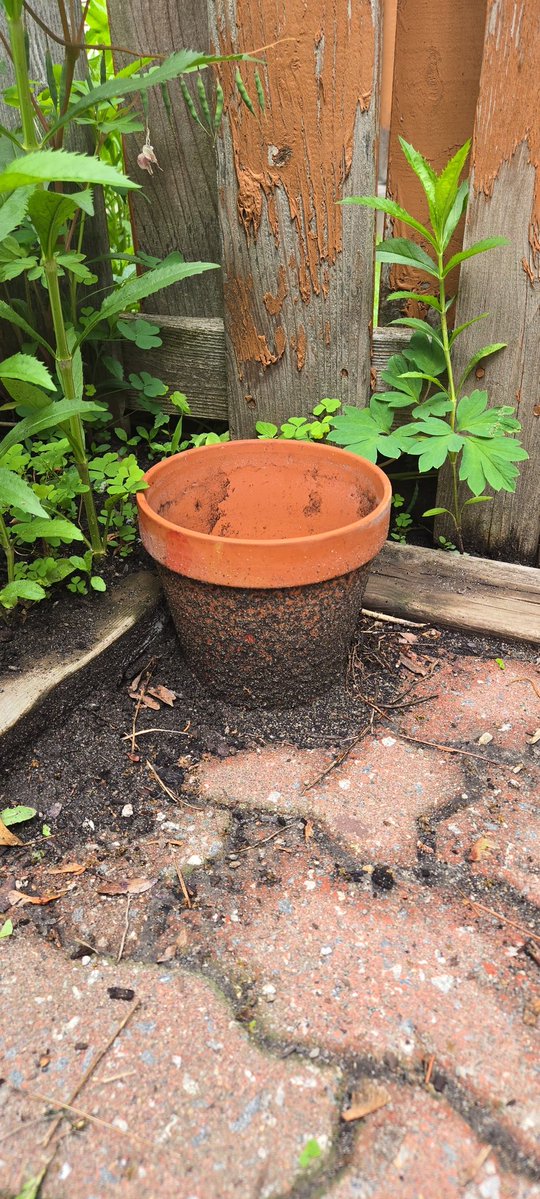 shrbear1968's tweet photo. @BlacksWeather It was completely free of dirt on the outside, 2 days ago! https://t.co/u7GuPGtoLU