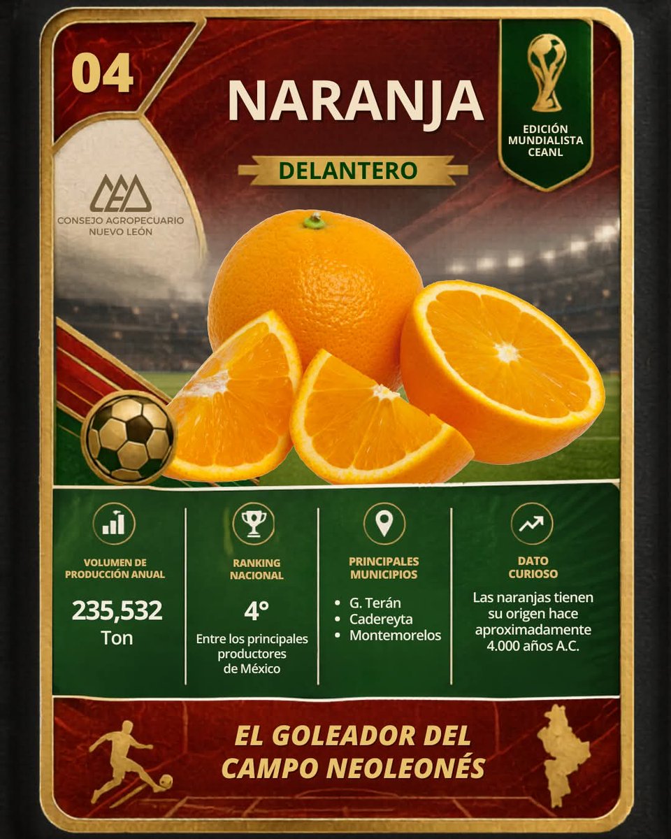 Jorgesparza's tweet photo. Montemorelos!! A la vanguardia cómo municipio destacado en la producción de Naranja! https://t.co/U2gCCIBJLE
