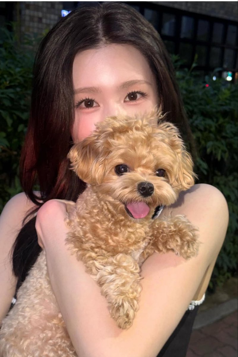 Gidle_x_nebobo's tweet photo. Soojin with her cute dog Mint
Miyeon and Yuqi posted cute dog on their ig accounts https://t.co/4P61L8dnxW