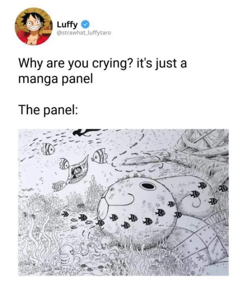 belikegift6's tweet photo. Going Merry seeing Luffy’s bounty one last time😣 https://t.co/J1RxhKRDY6