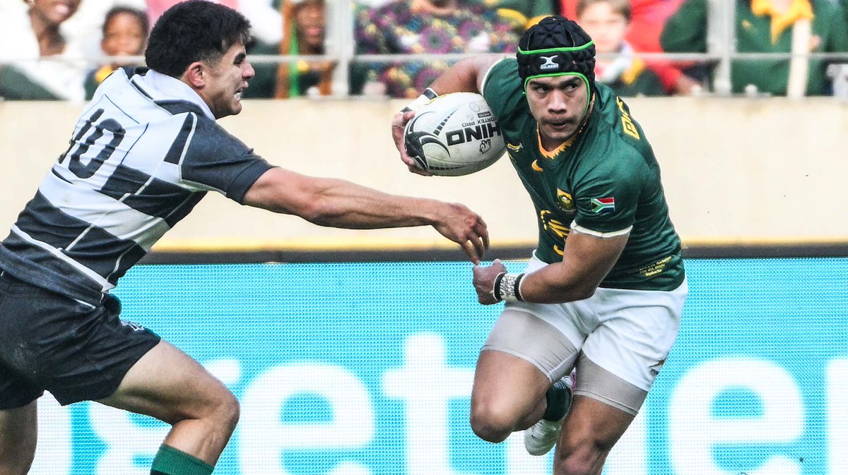Springboks tweet media
