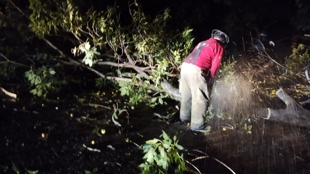 ProcivilTabasco's tweet photo. Ante los fuertes vientos registrados durante la madrugada, la Dirección de Bomberos activó brigadas de atención para atender reportes de caída de árboles en la ranchería Río Viejo y otras zonas aledañas.

El personal realizó recorridos y labores de retiro de árboles https://t.co/bwtmeBbolX