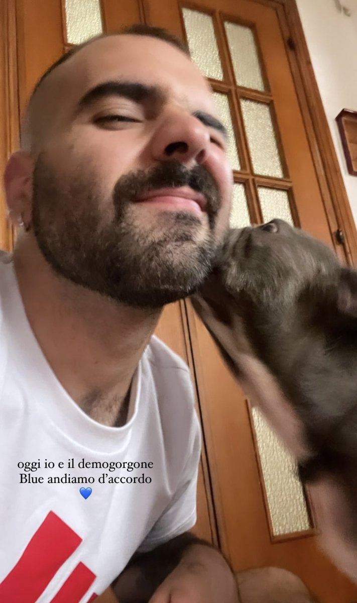 cmqross1's tweet photo. Buon viaggio amore mio, ti amerò per sempre.
I tuoi occhioni pieni di amore per me sono scalfiti nel mio cuore.
Ora non soffrirai più.
Spero di averti donato almeno un po’ dell’amore che meritavi.
Ciao bullo, ora tu e Bonnie potrete giocare insieme per l’eternità. 💙🪽 https://t.co/jOcGI8TbHF