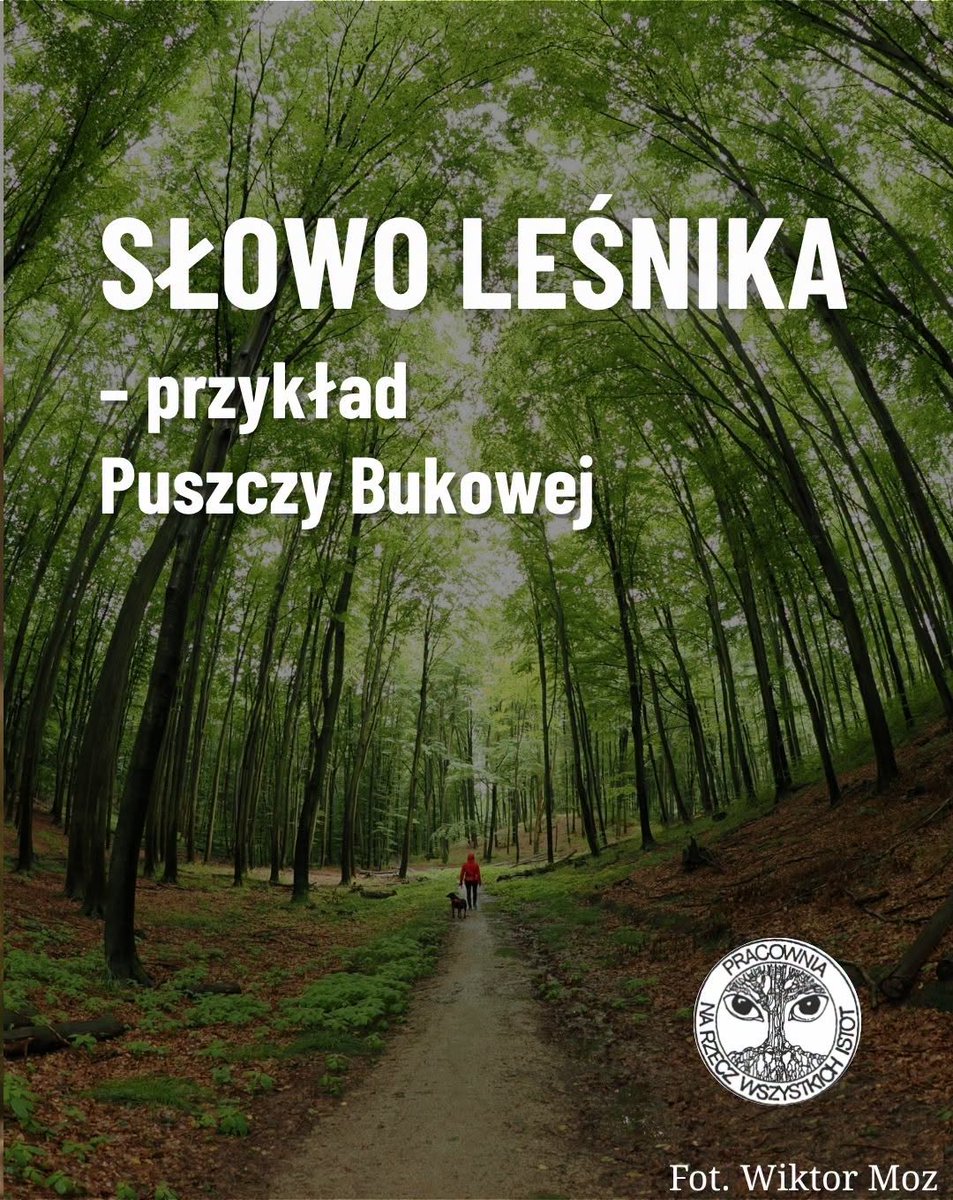 Pracownia Bystra tweet media