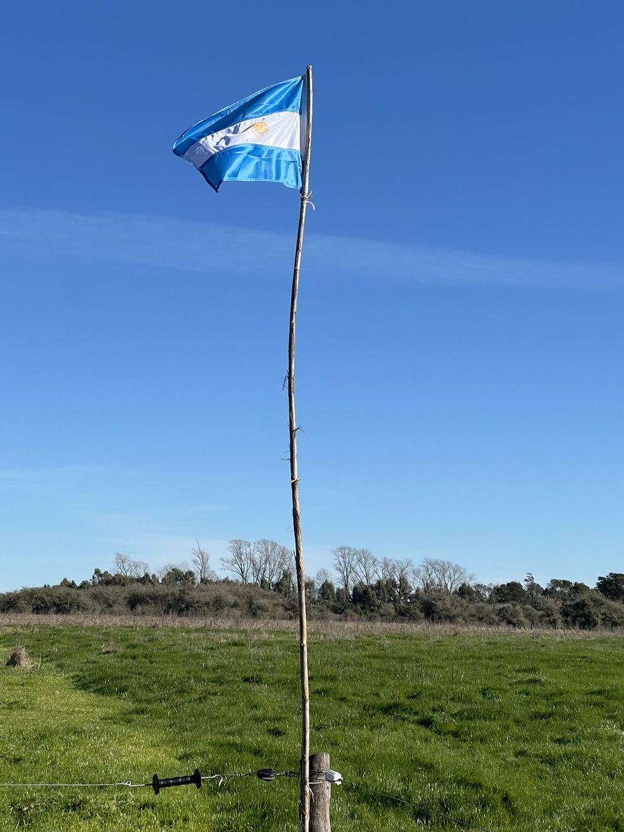 🇦🇷Patrio tweet media