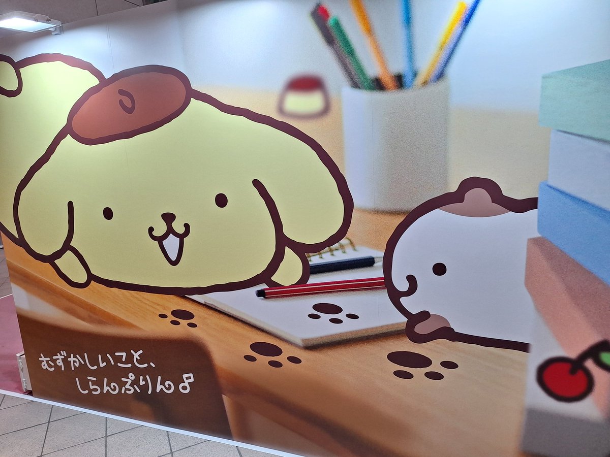 miieri03's tweet photo. ポムちゃんを愛でに行ってまいりました～かわいいね😊 https://t.co/71IIrziaNT