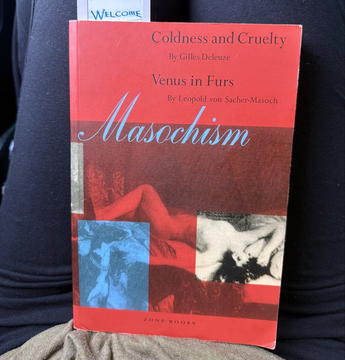 spacecrone's tweet photo. Current read #pervertmaxxing https://t.co/mvvuHJQfIs