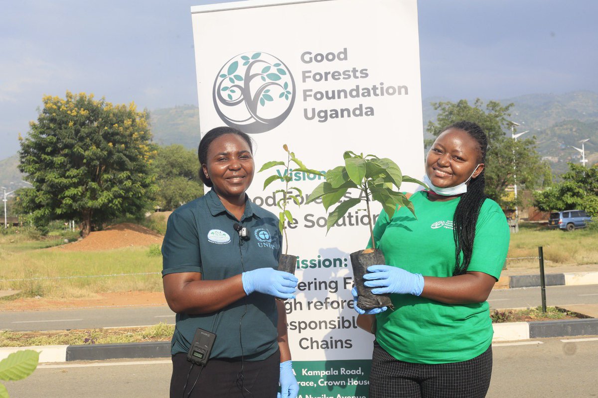 karothk256's tweet photo. Over 200 trees planted today, one step closer to a greener and more sustainable future.

Together, we’re restoring ecosystems, strengthening climate resilience, and protecting the Rwenzori region for generations to come.

#TuskerLiteRwenzoriMarathon #GoodForestsFoundationUg 🌍🏔️🌱