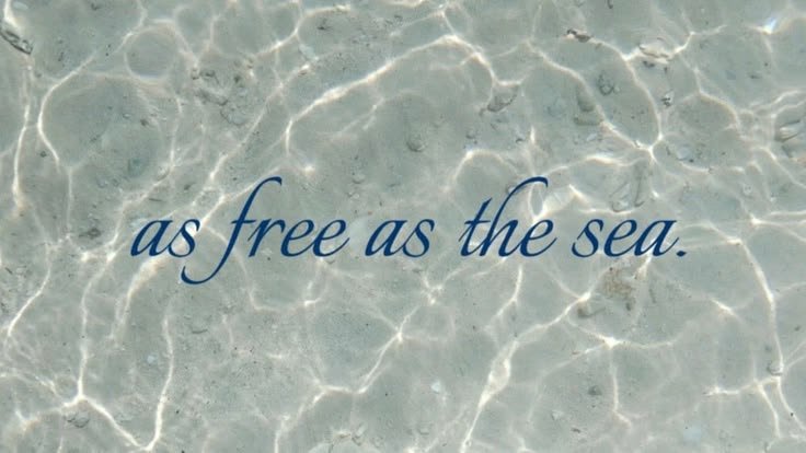 daisyy2885121's tweet photo. Summer moodboard
#pintrest #summer #sea
#postive #MoodOfTheDay https://t.co/bsF2tJYIvD