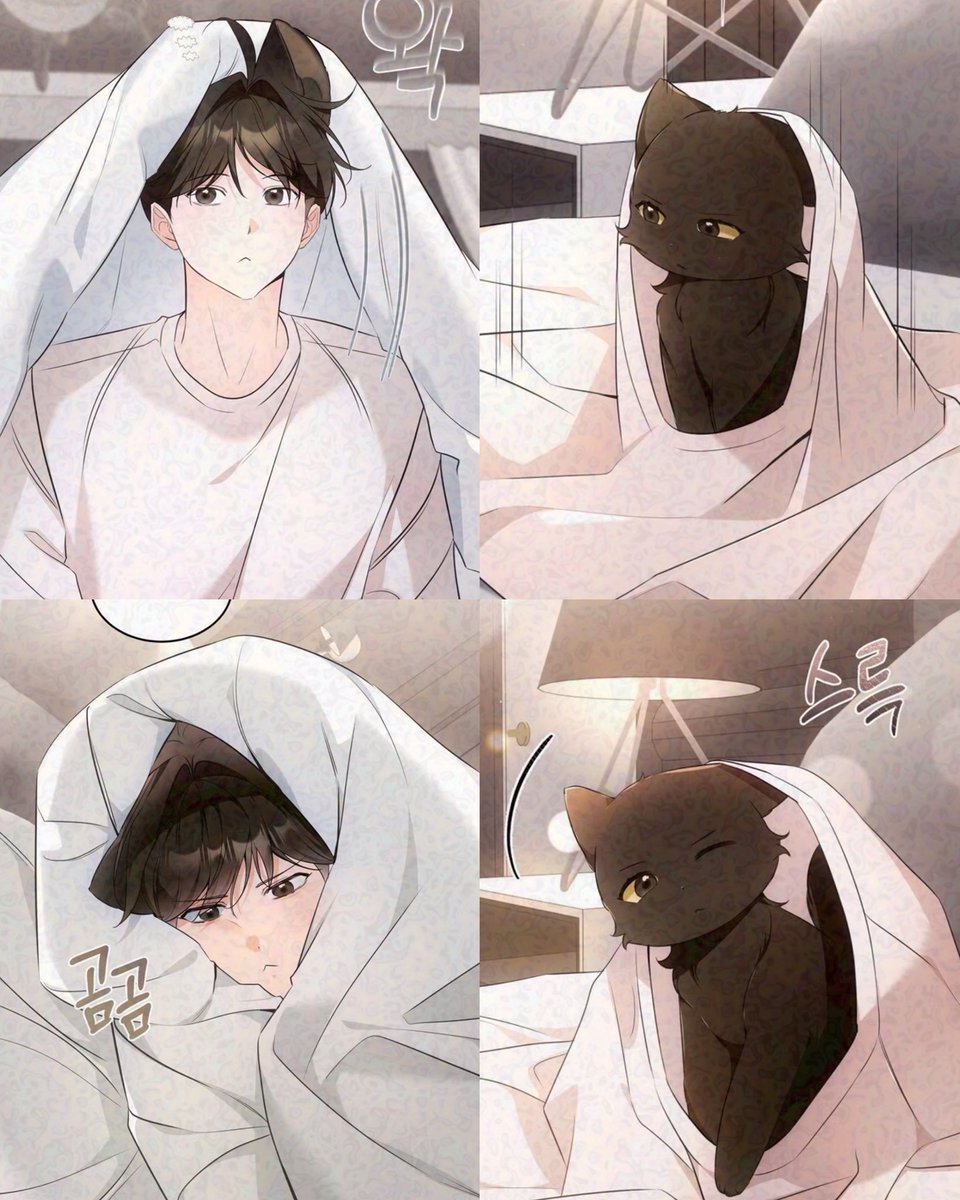 nostalgia520's tweet photo. BLACK KITTEN               ᵇˡᵃᶜᵏ ᵏᶦᵗᵗᵉⁿ

ดุงงี่หูติดเฉื้อติดผ้าห่มหม้ดแย้ะ แต่ก้ะจะชุกในผ้าน้ะ พี่เฉือมาเอาน้องออกไปทีด้ายหม๋ายยยย https://t.co/LEdfsOuJo4