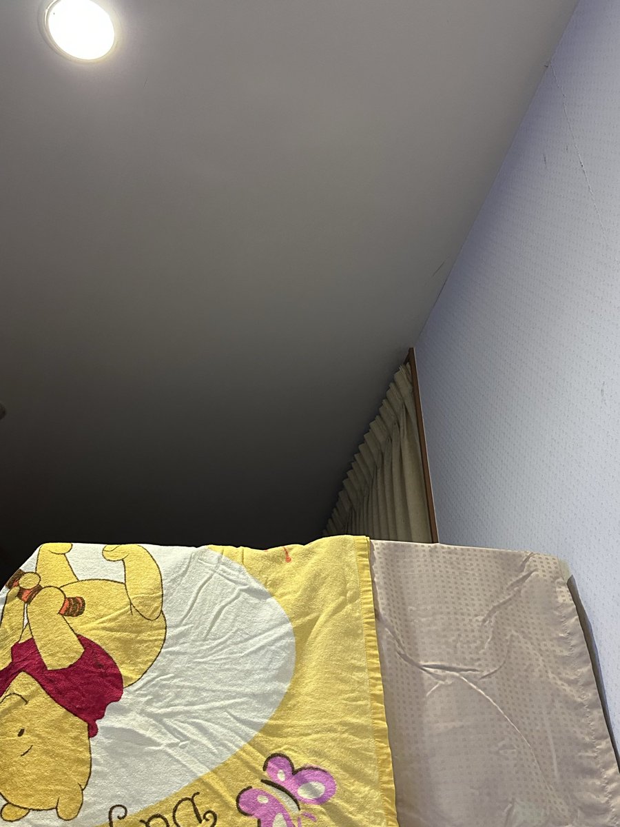 5Amtu4's tweet photo. 真っ暗が怖かったのか、夜泣き。すぐ開けると悪い学習してしまうかと様子見。
3回くらい甲高い声で泣いていたので流石に心配で確認。ケージの底で起きていた。
顔をみて間接照明の代わりに上部のライトを点灯して見たら落ち着き（ごはん）とおしゃべりしたので、おやすみカバーをかけた。 https://t.co/alaRog0u4y