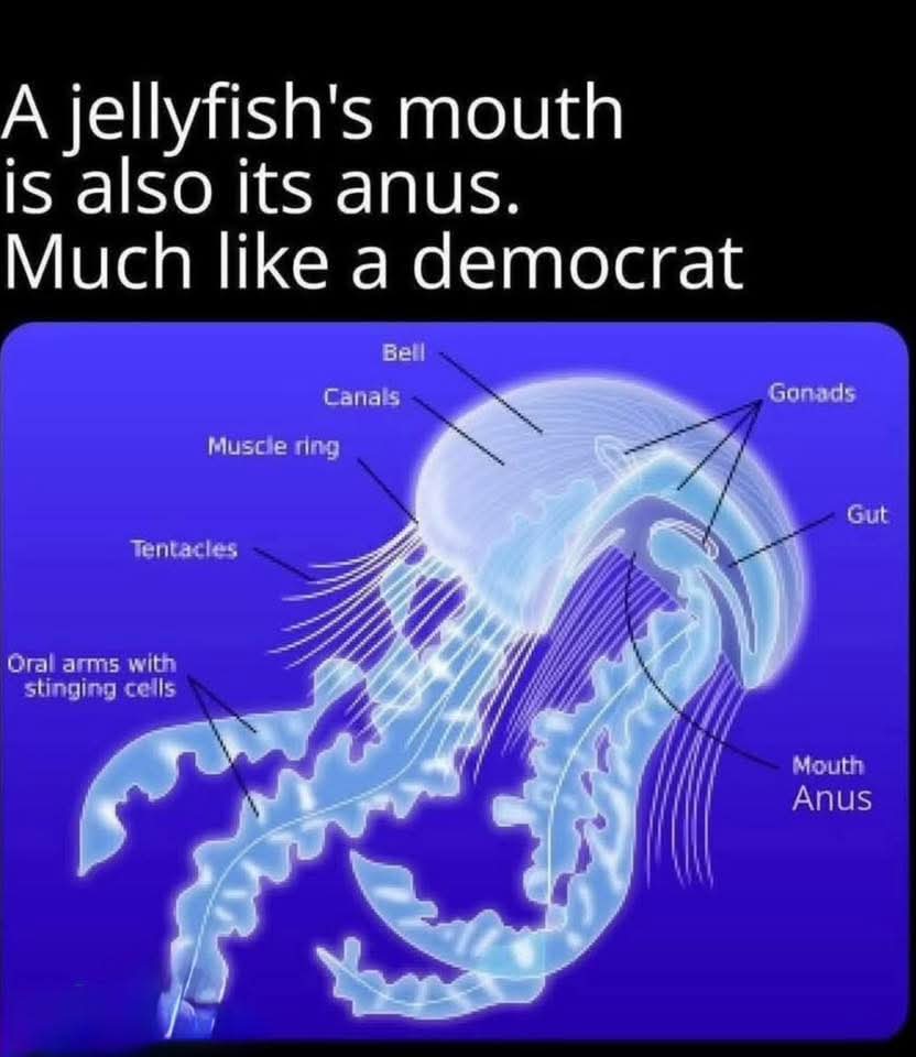 JohnSpohn1's tweet photo. @BkendlerB @DavidJHarrisJr I don't understand your specific kind of stupidity, but I do admire your commitment to it. https://t.co/9H8X7mvlbD