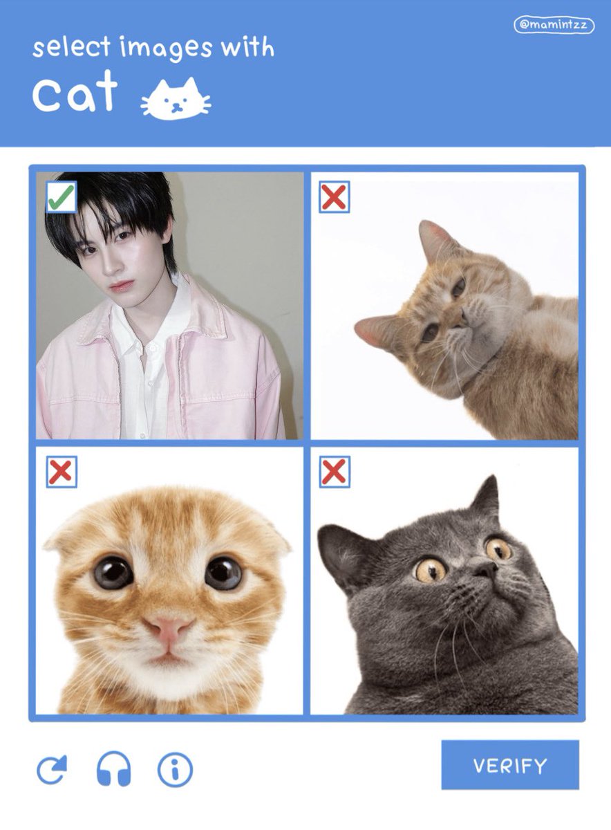 purinokoro's tweet photo. ม๋าบ้อกกับแมวอ้วมตัวจิง 🦮🐈🏡 https://t.co/YJOdETBXse
