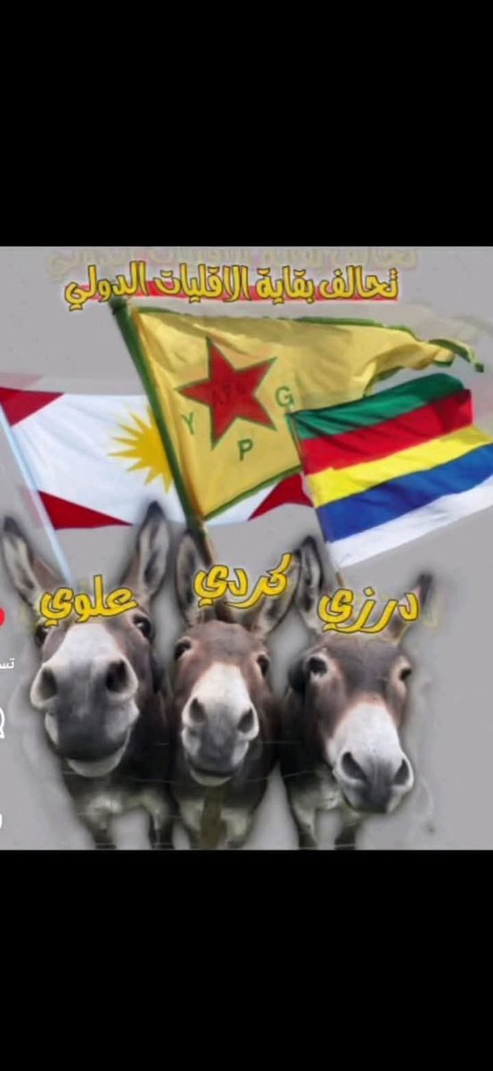 ghjano's tweet photo. @mohammed_jajeh https://t.co/hJYHpcJA87