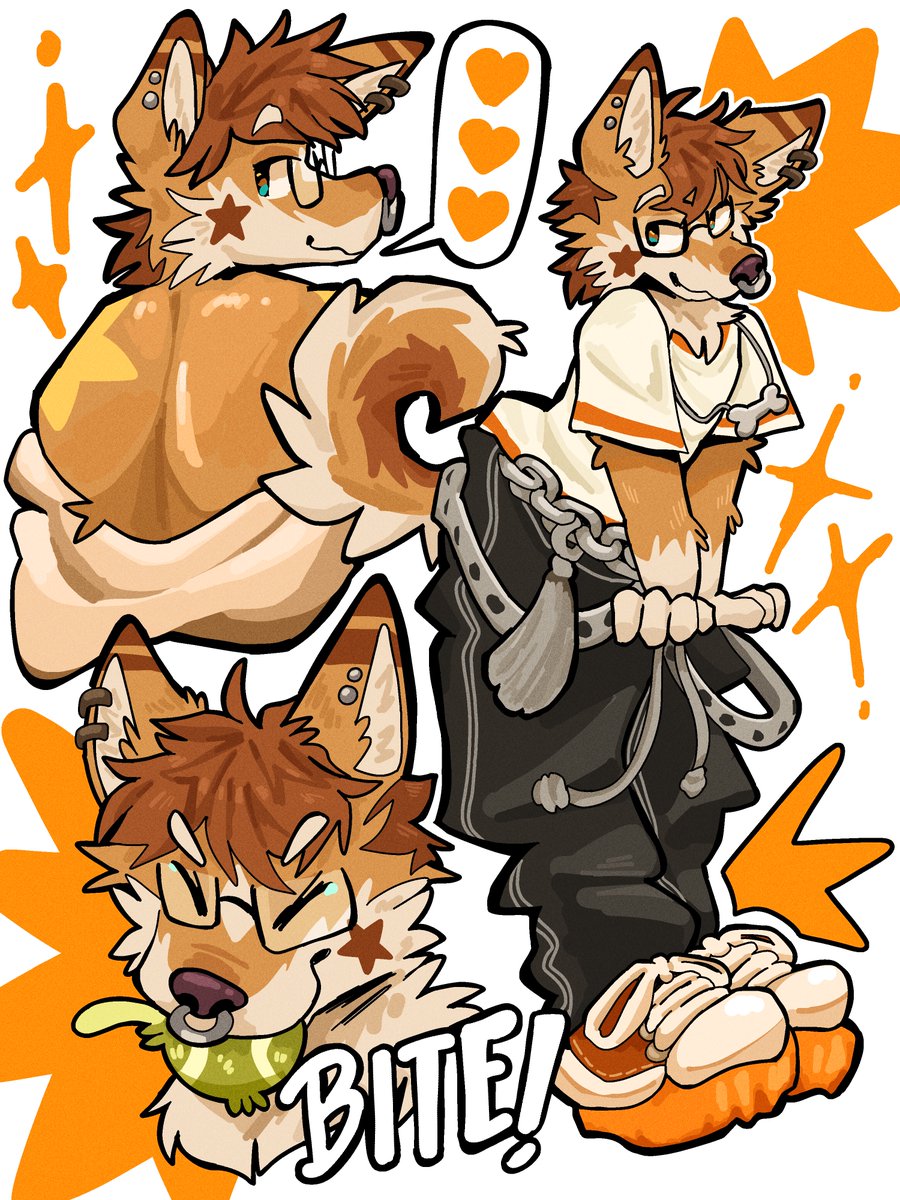 MintCashew's tweet photo. STAR MUTT! ⭐️🐶 https://t.co/NLs62OticV