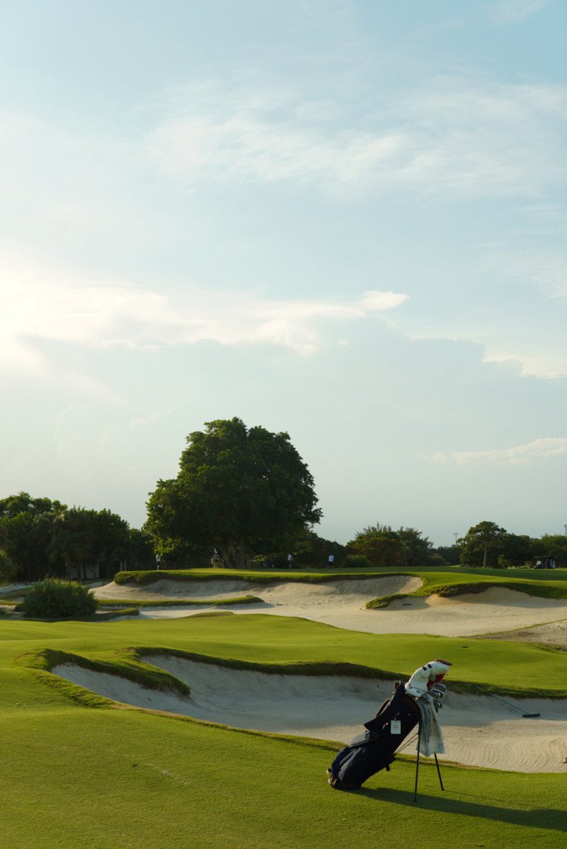 ShoalGolfCo's tweet photo. The Park in West Palm is a special place. A great place for a walk with a Shoal Navy Standard Bag.
#GolfBags #ThePark #ShoalGolfCo https://t.co/2FfmxEwBq8