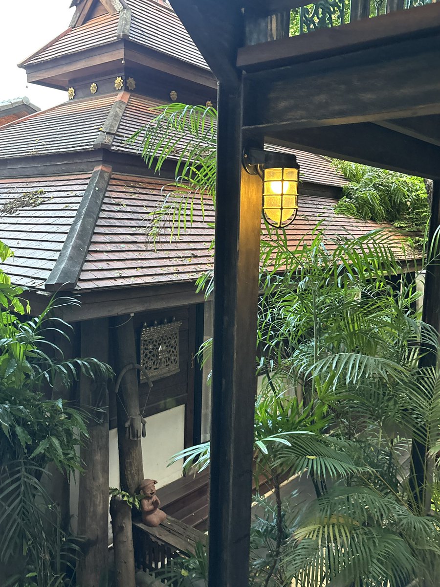 issallyna's tweet photo. 🦥🍃 https://t.co/SlzQhL6RD4