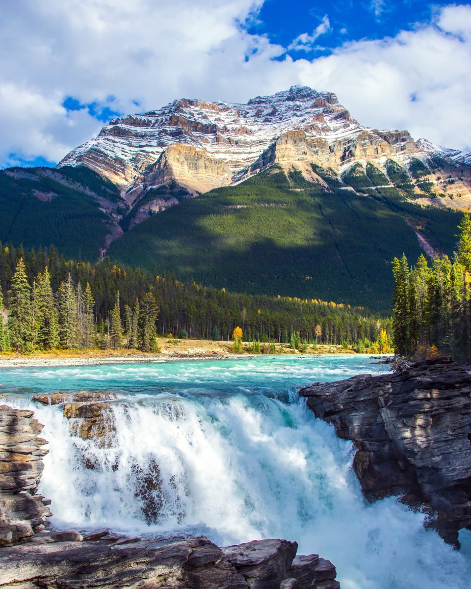 Beauty of Nature tweet media