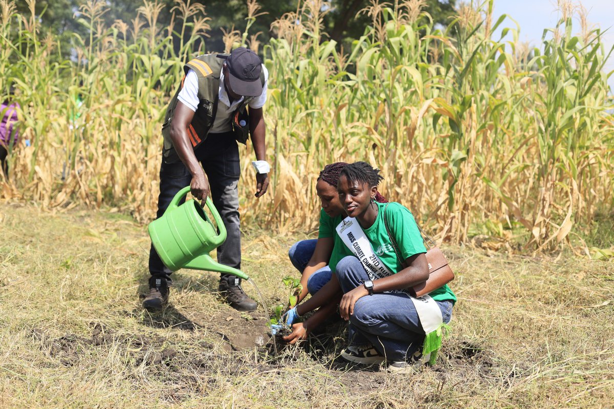 4digitstv's tweet photo. MORE LIFE, MORE TREES  
Today we didn’t just talk conservation. We did it.

Led by team leader @karothk256 over 200 trees went into the ground during the Tusker Lite Rwenzori Marathon Activation in Kasese.

#RwenzoriMarathon #TuskerLite #MoreLifeMoreTrees #Kasese #RoadToAugust22 https://t.co/9V320MIx9F