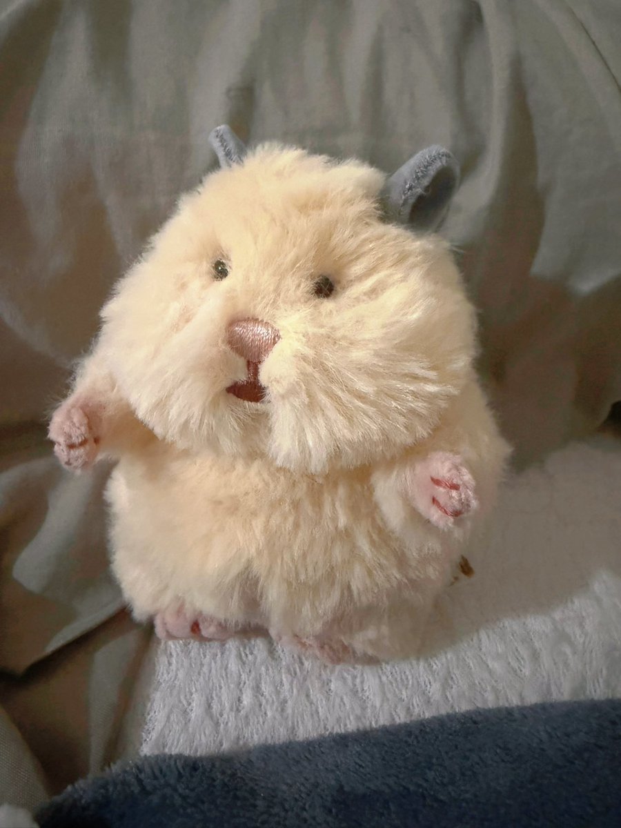 cmsrow's tweet photo. 新しい家族ができました。

あまりにもキュートアグレッションすぎて強く握りすぎてしまう︎^_^

ちなみにこましろさん3枚目のホルダーとか洋服を作ろうとしています、世界一ぬいぐるみと関係なさそうな女、ついにぬい活を始めました
名前何にしよう～ https://t.co/jjJ2gsnmNv